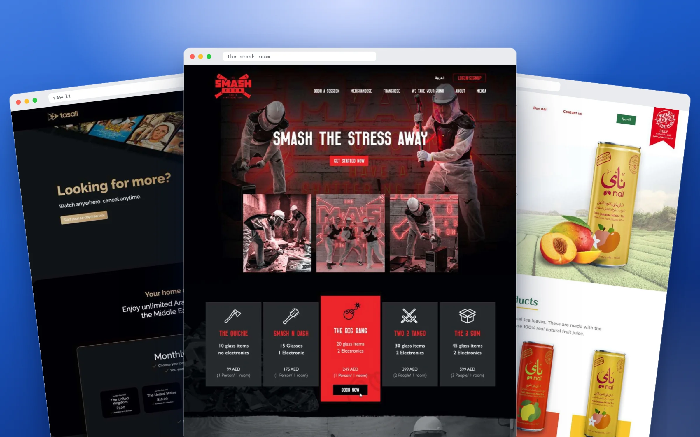 GO-Gulf web: screens from the project